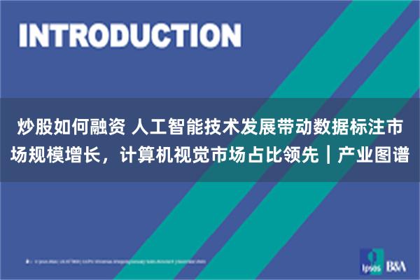 炒股如何融资 人工智能技术发展带动数据标注市场规模增长，计算机视觉市场占比领先︱产业图谱
