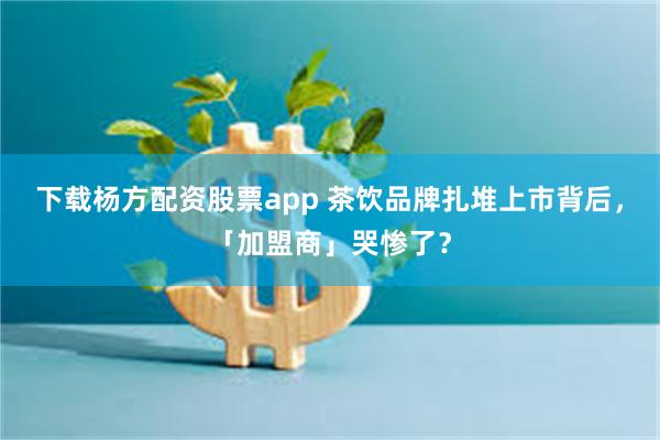 下载杨方配资股票app 茶饮品牌扎堆上市背后，「加盟商」哭惨了？