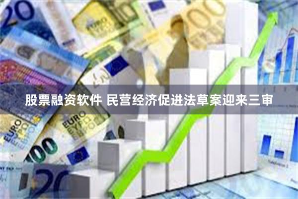 股票融资软件 民营经济促进法草案迎来三审