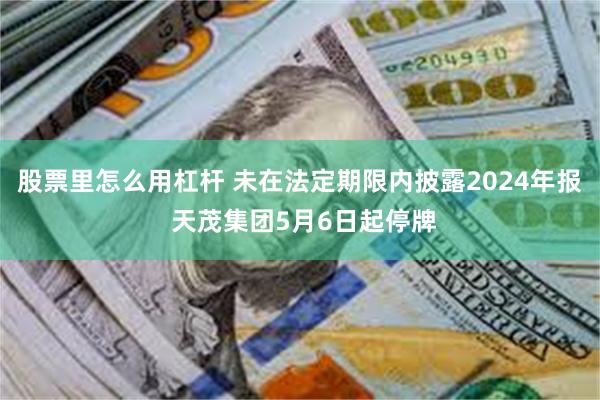 股票里怎么用杠杆 未在法定期限内披露2024年报 天茂集团5月6日起停牌
