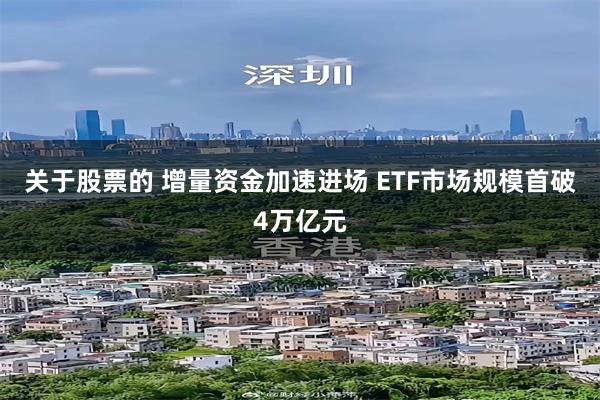 关于股票的 增量资金加速进场 ETF市场规模首破4万亿元