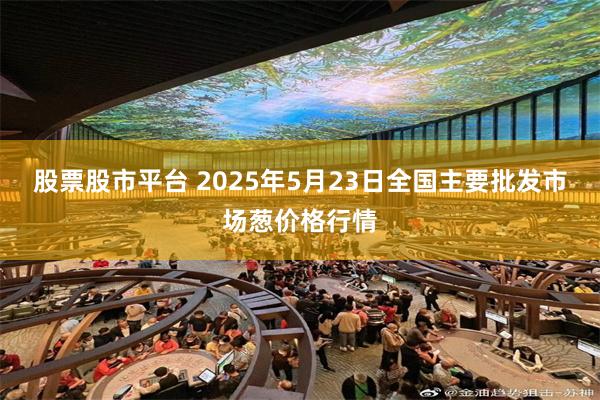 股票股市平台 2025年5月23日全国主要批发市场葱价格行情