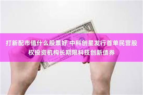 打新配市值什么股票好 中科创星发行首单民营股权投资机构长期限科技创新债券